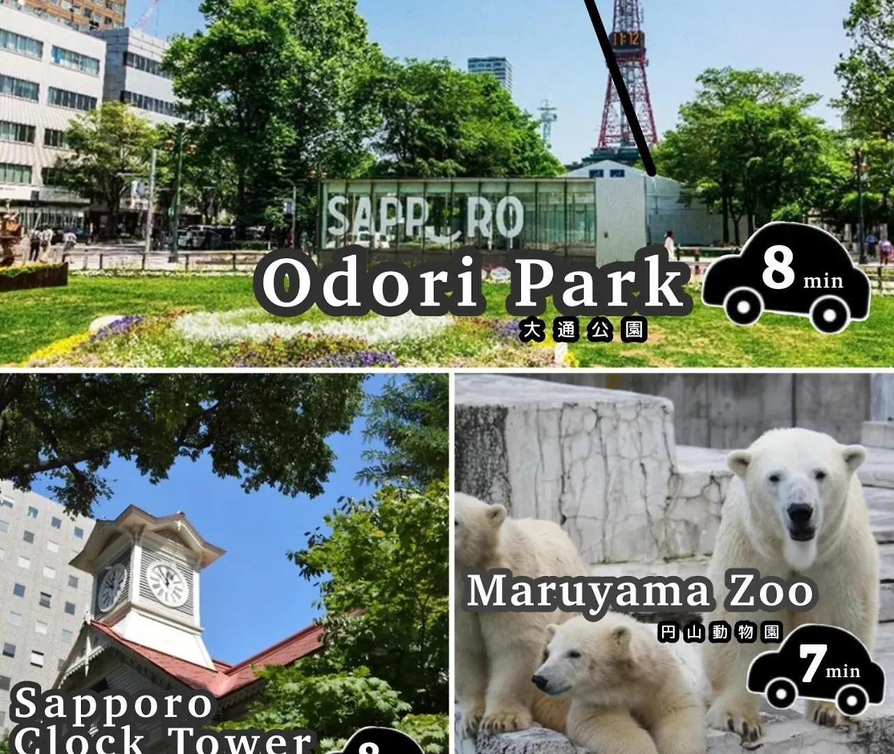 Mondomio 510 札幌市